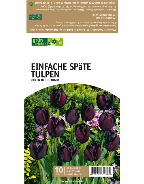 Späte Tulpen