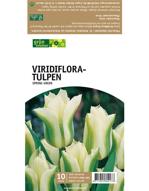 Viridiflora-Tulpen