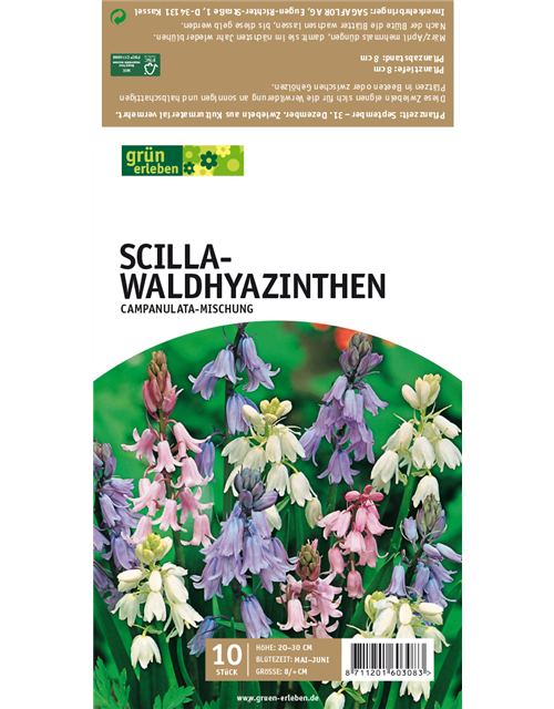 Waldhyazinthen