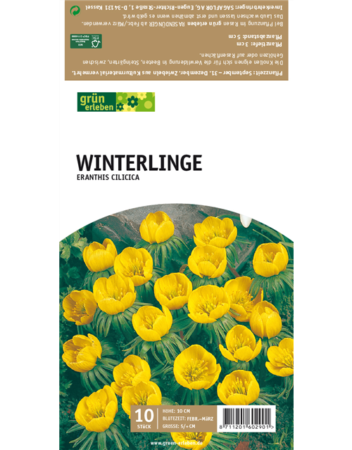 Winterlinge