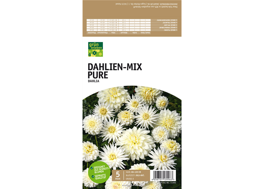 Dahlien-Mix Pure