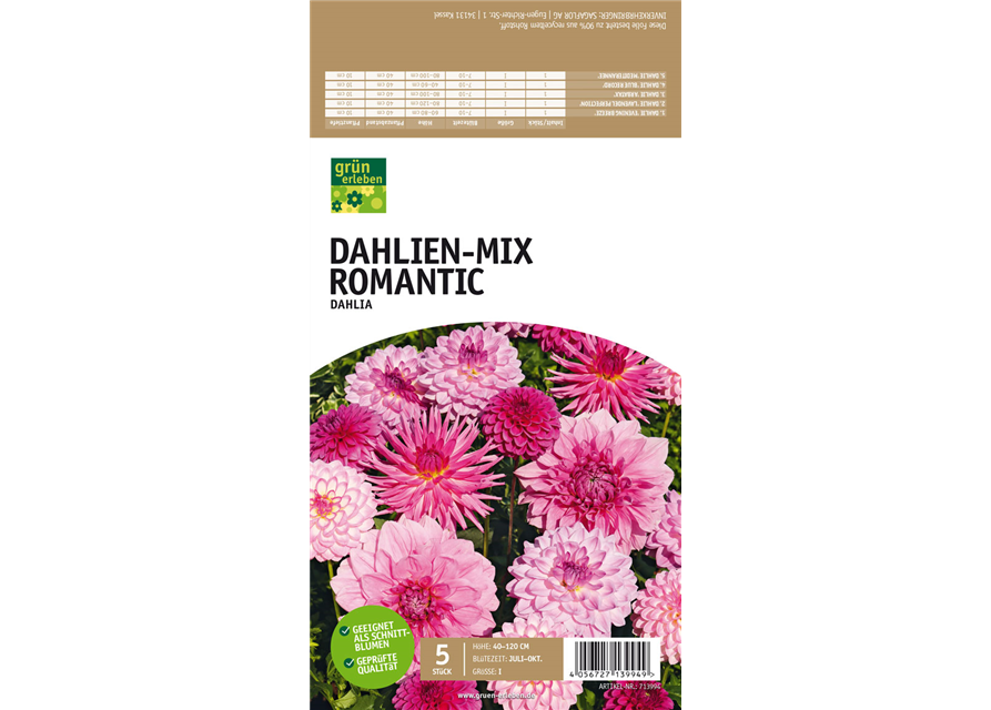 Dahlien-Mix Romantic