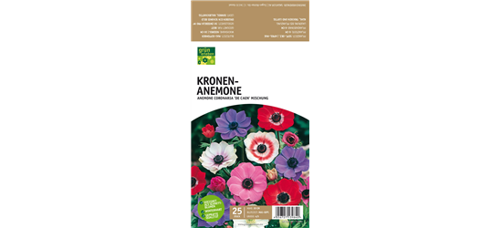 Kronen-Anemone