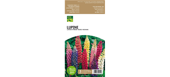 Lupine