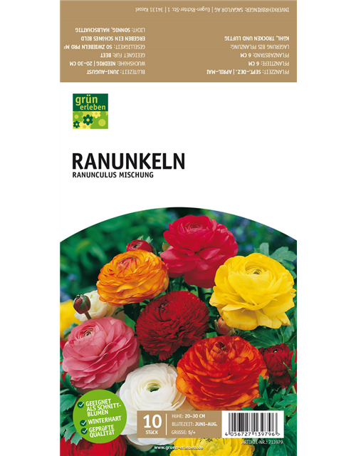 Ranunkeln