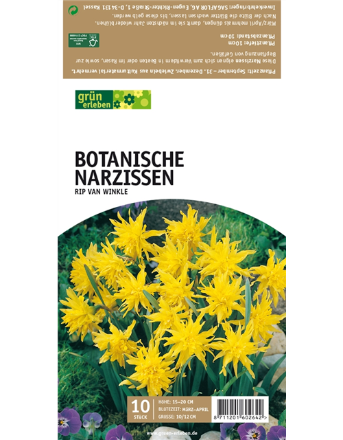 Botanische Narzissen