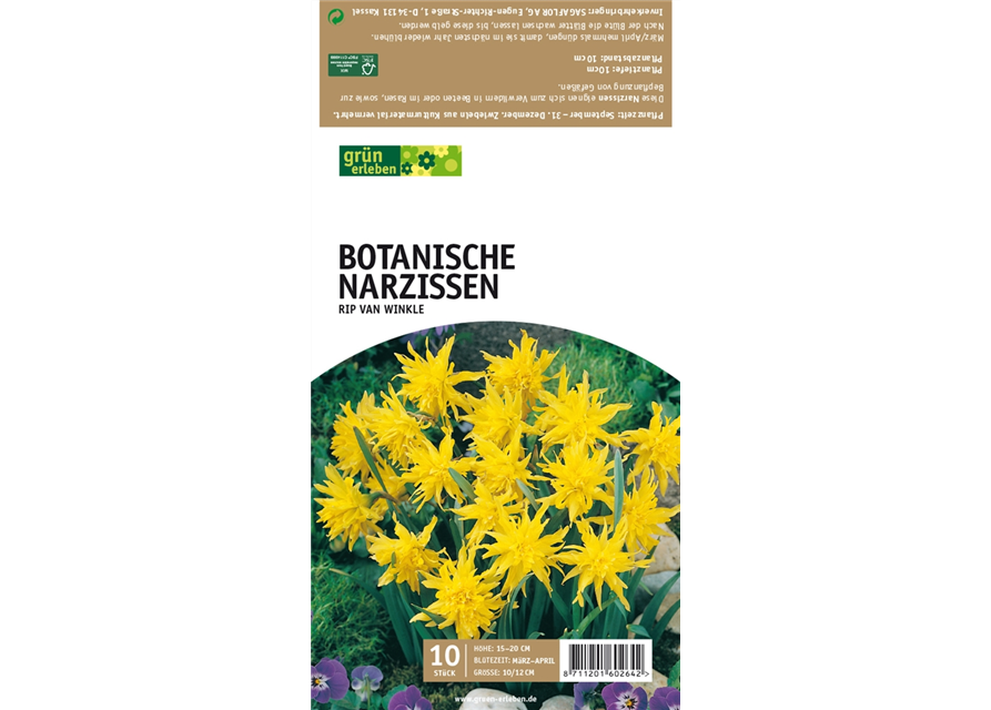 Botanische Narzissen