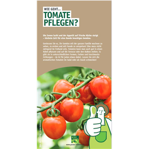 WIE GEHT... TOMATEN PFLEGEN?